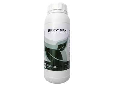 ENERGY MAX